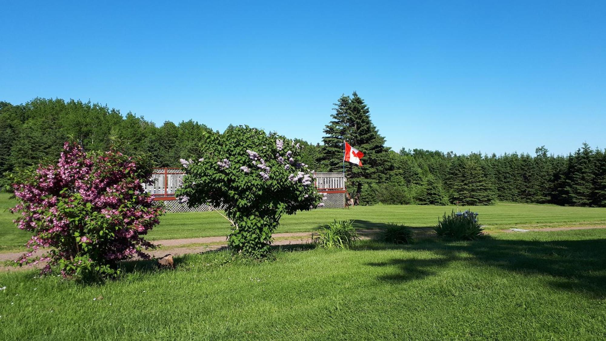 Rustico Acres Cottages 노스 러스티코 외부 사진